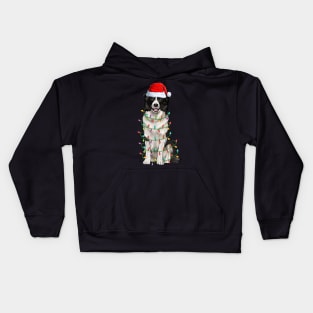 Border Collie Christmas Lights Xmas Dog Lover Kids Hoodie